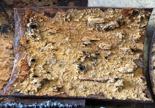 microbial induced corrosion