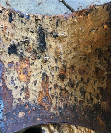 microorganisms induced corrosion