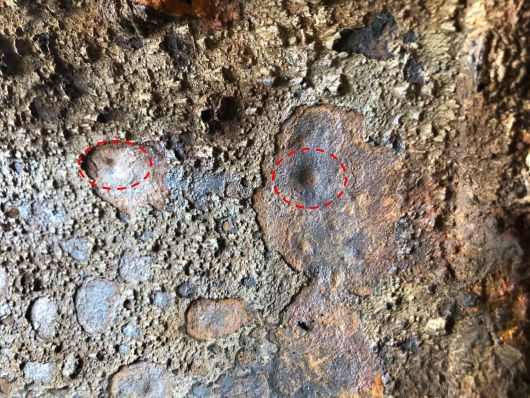 microorganisms influenced corrosion