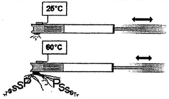 bicycle pump experiment