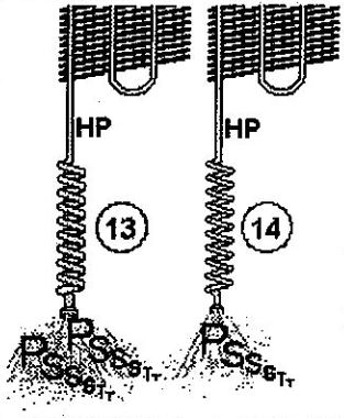 compressor in fridge operating cycle 13 to 14